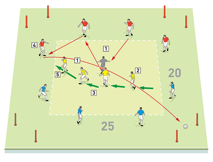 28905 lee johnson back four protocols 1